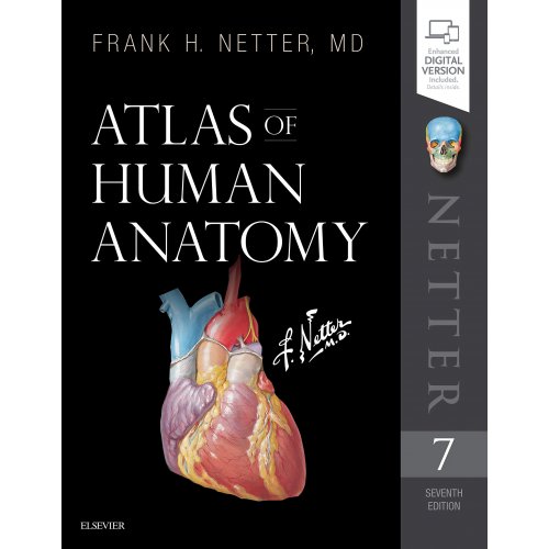 Atlas de Anatomía Humana Netter- Ed7